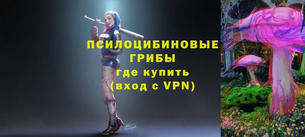 ECSTASY Белоозёрский